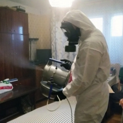 Дезинфекция от клопов в Славгороде