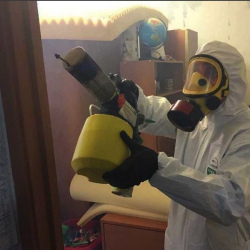 Уничтожение клопов в квартире. Славгород